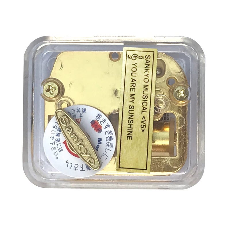 BinkeGG Clear Acrylic Wind up Music Box with Clockwork Sankyo Musical Mechanism Tune: You are My Sunshine - Image 5